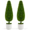 Green 2 Pack 35"H Artificial Cedar Teardrop Shaped Bush with Plastic Nursery Pot